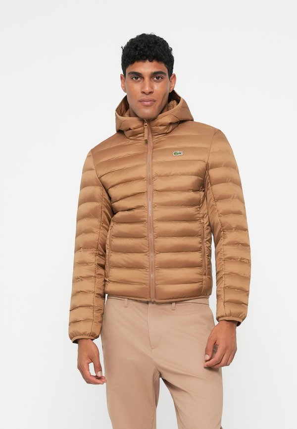 Lacoste Winter jacket - dark date brown