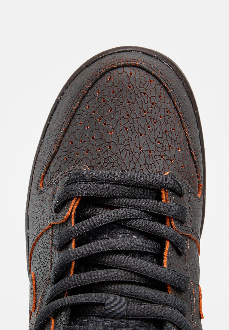 Nike Sportswear SB DUNK LOW PRO PRM
