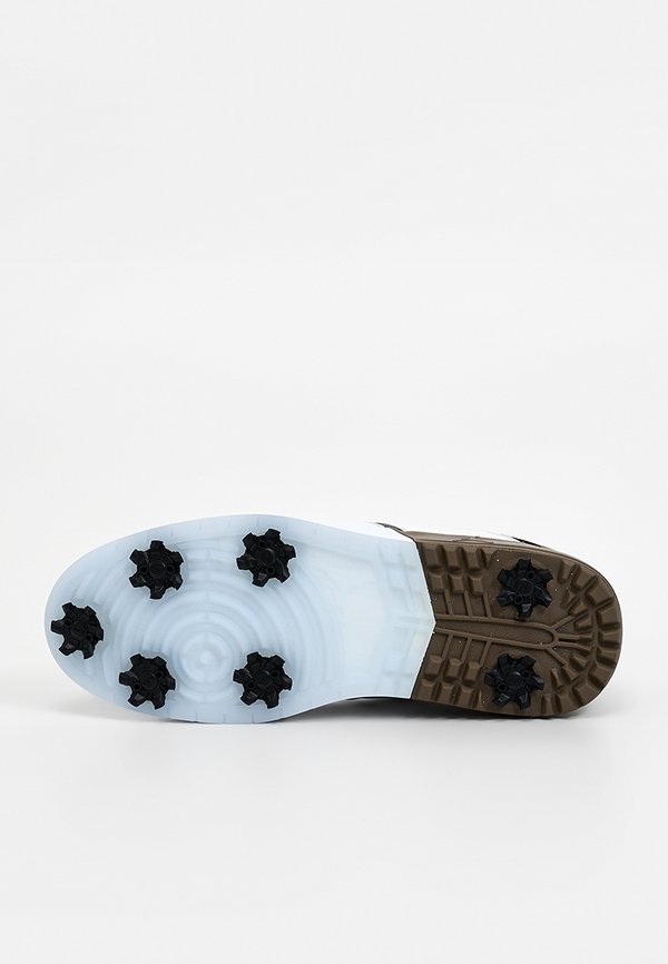 Nike Golf JORDAN NU RETRO 1