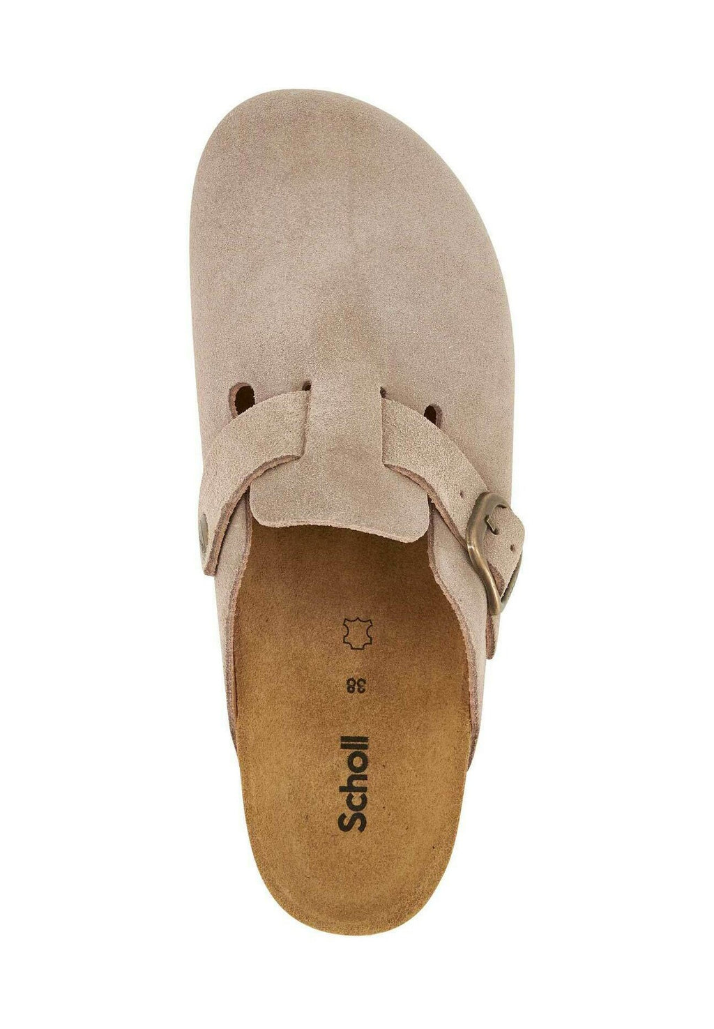 Scholl FAE NEW
