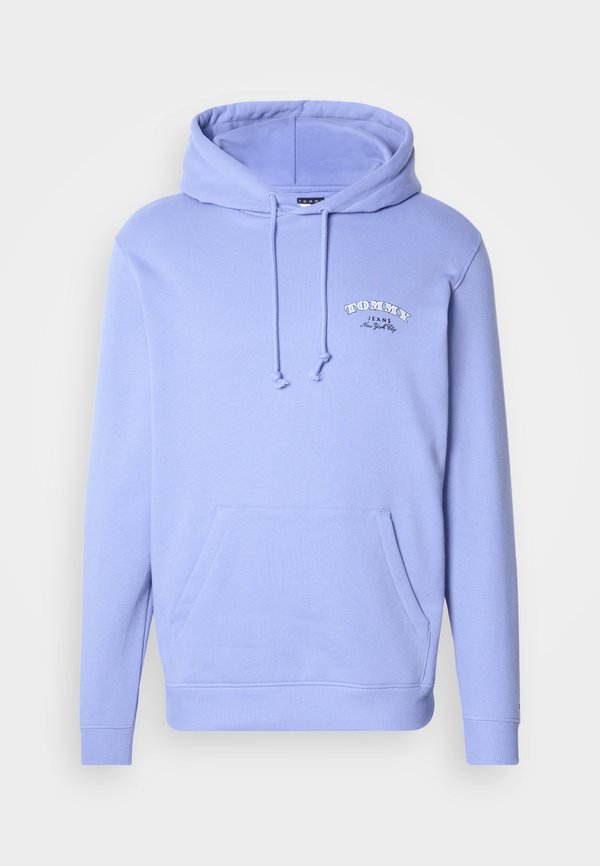 Tommy Jeans DOLLAR STACK HOODIE UNISEX