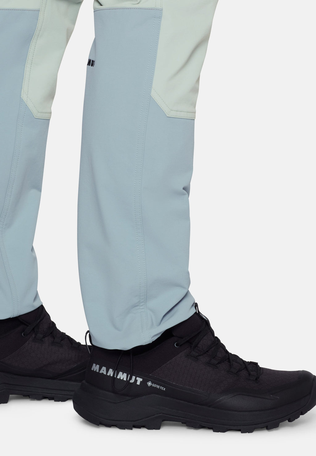 Mammut TAISS