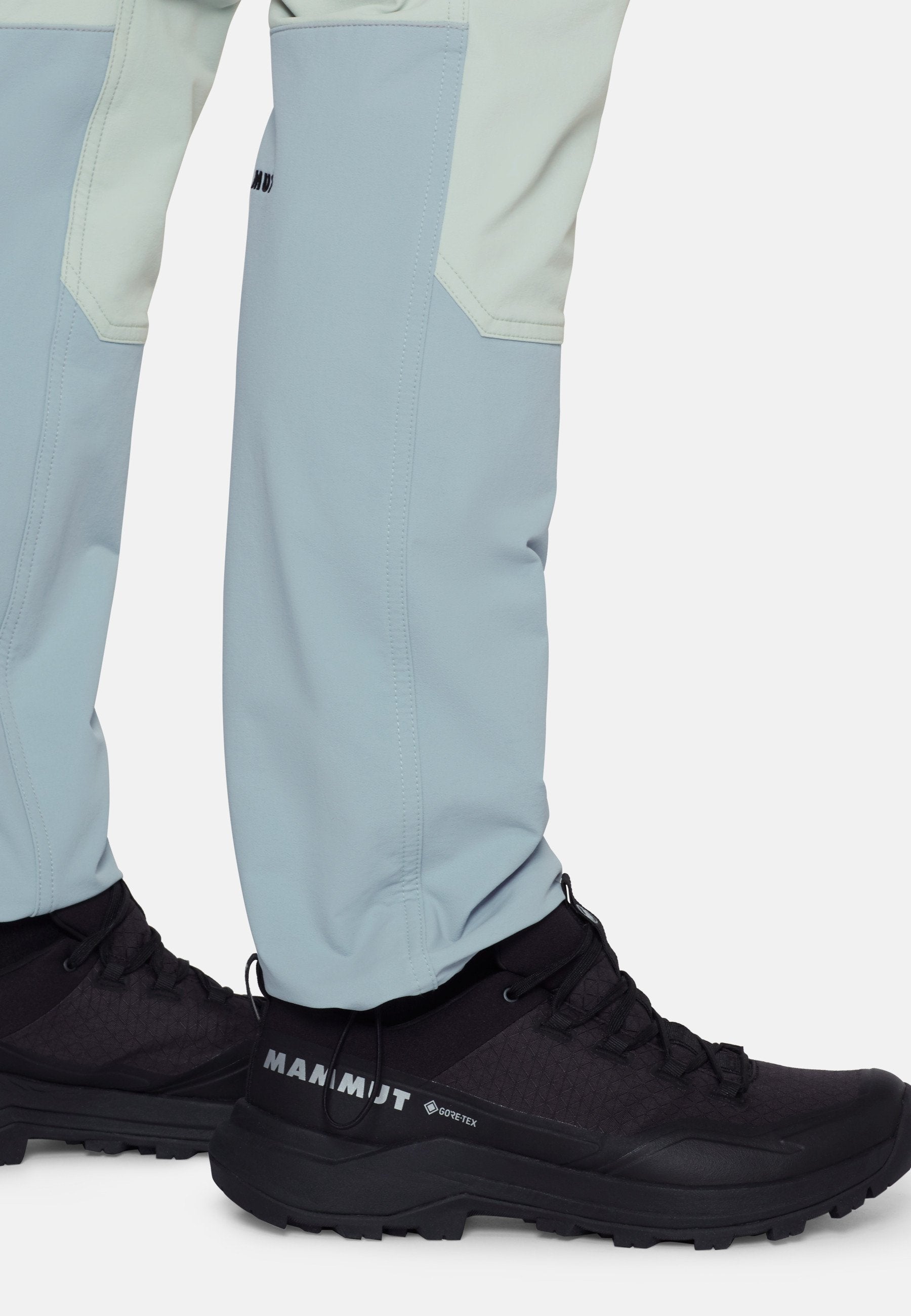 Mammut TAISS