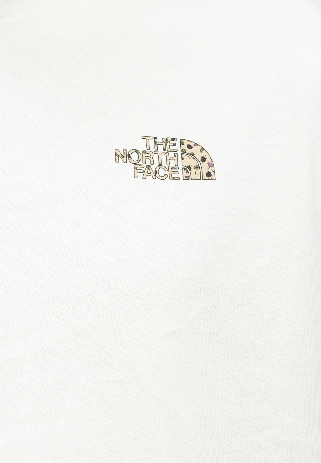 The North Face SNACK RELAXED SHORT SLEEVE TEE GRAPHIC