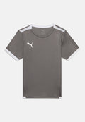 Puma TEAMLIGA