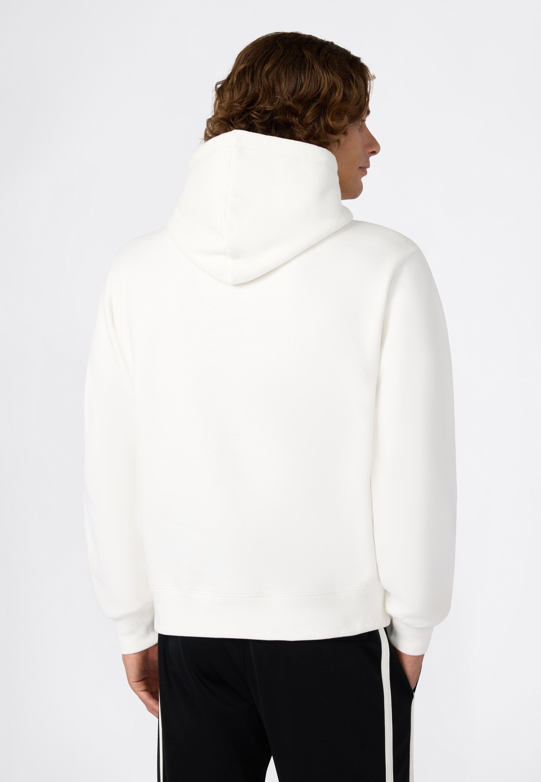 Champion HOODIE VARSITY STYLE