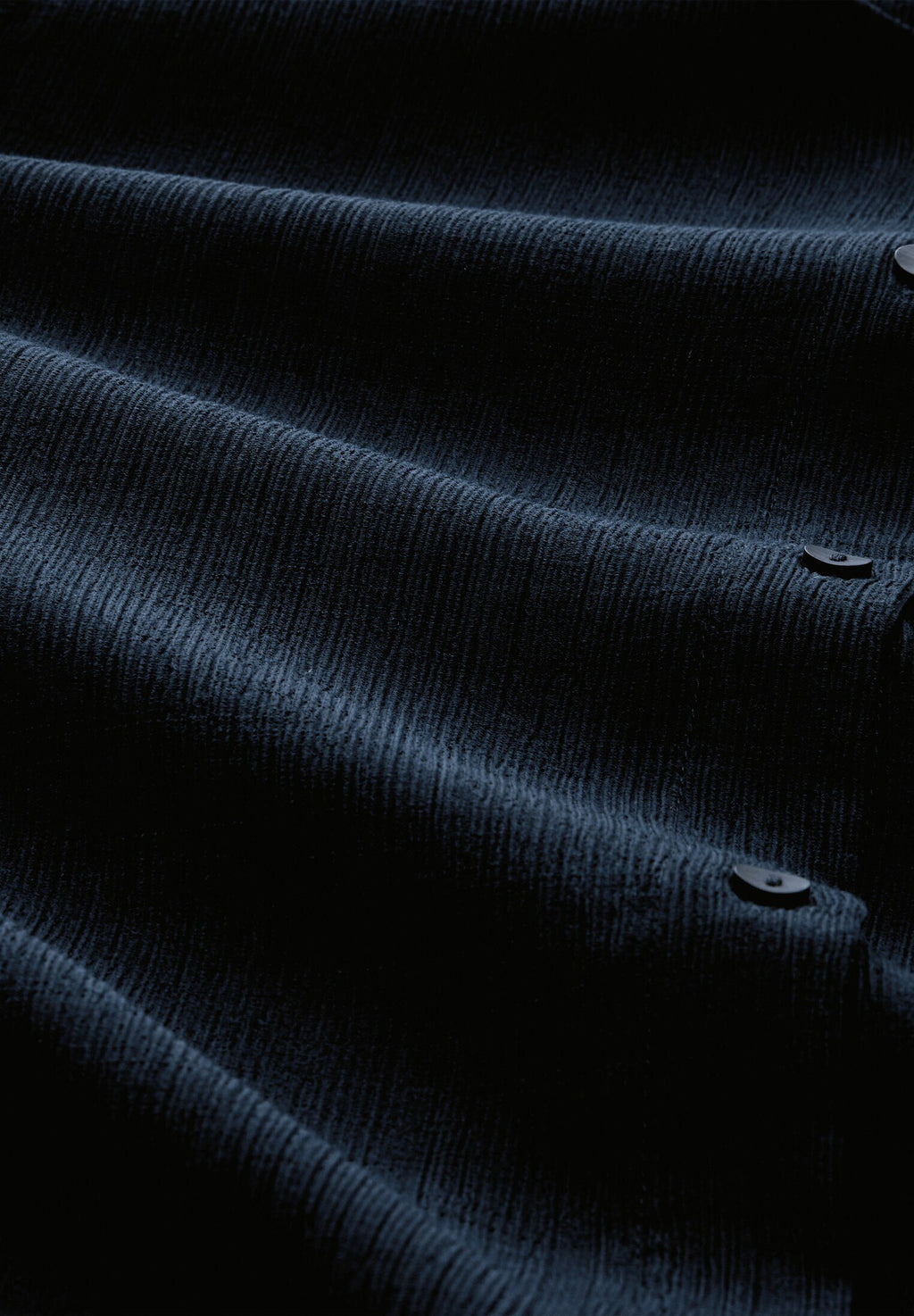 TOM TAILOR DENIM WITH PLACKET