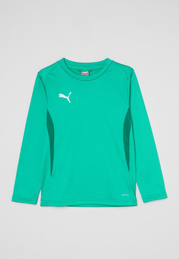 Puma TEAMGOAL