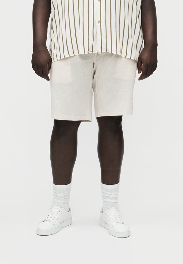 Jack & Jones JPSTJAIDEN BREEZE - Shorts - string melange