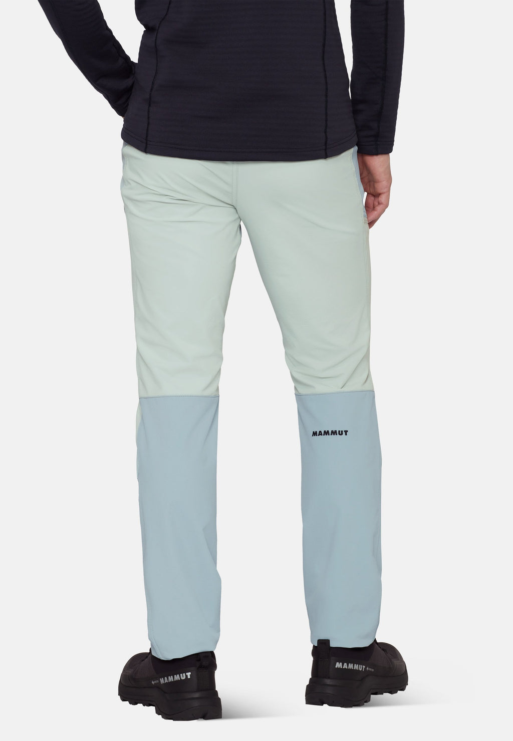 Mammut TAISS