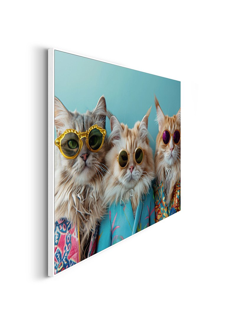Orange Wallz CAT BAND