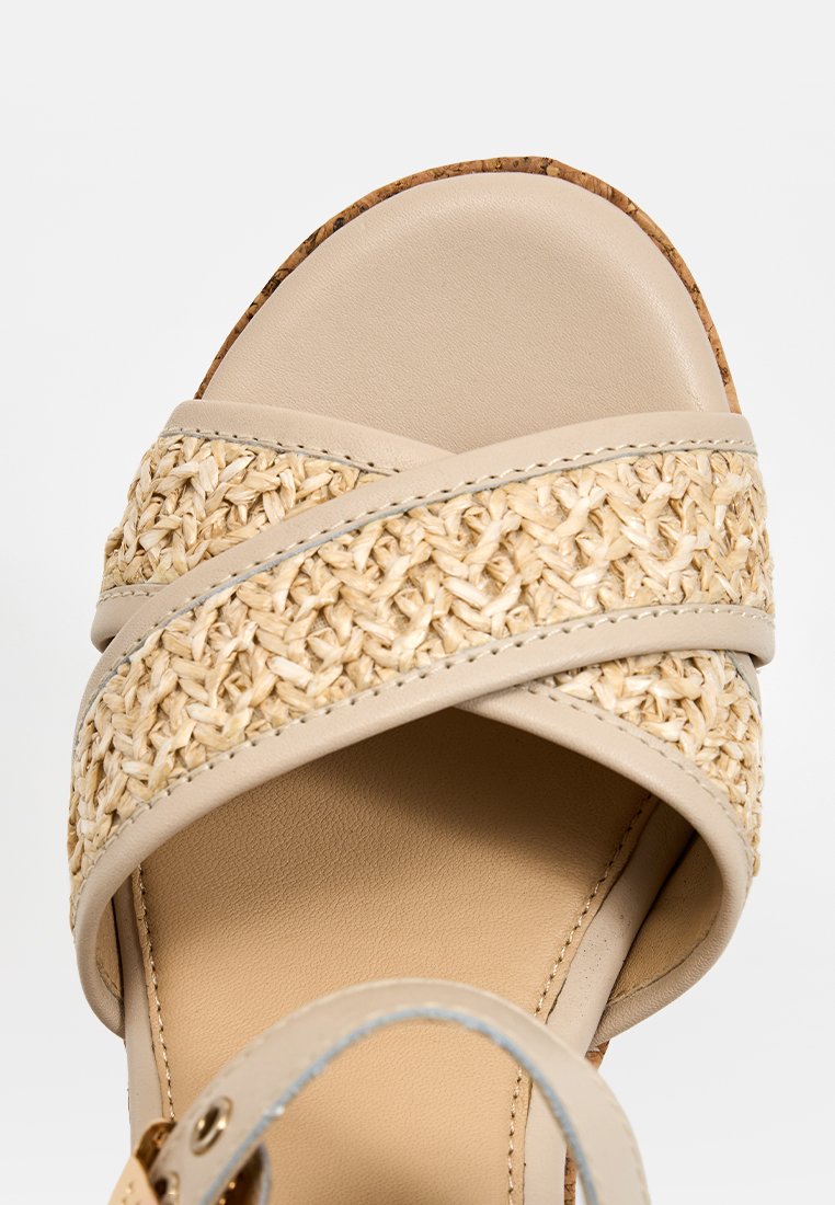 Scholl DARCY
