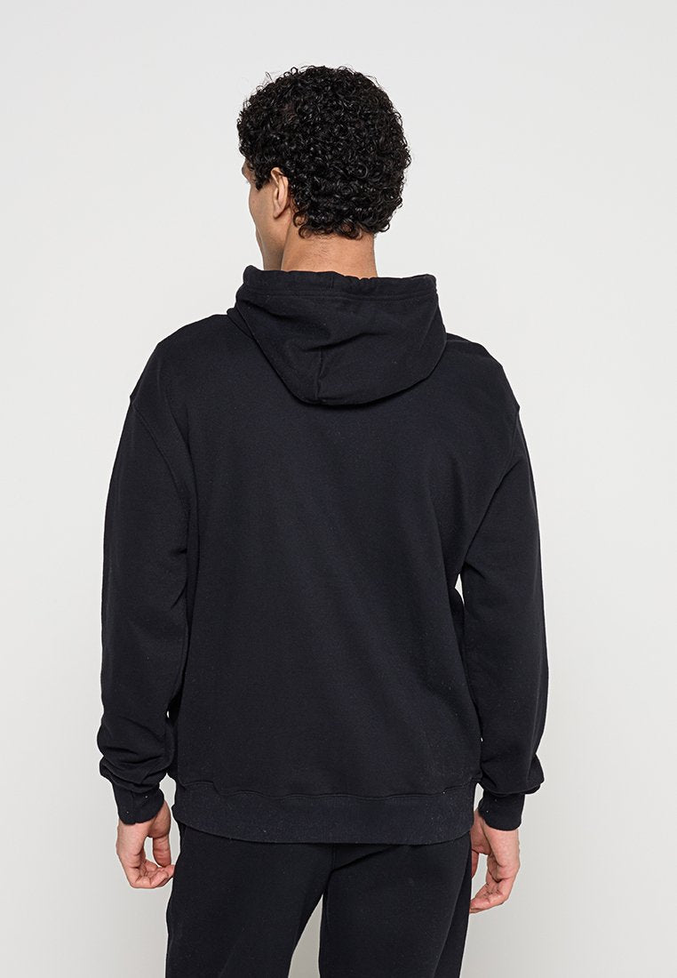 Hollister Co.