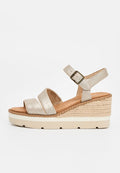 TOMS DARYA
