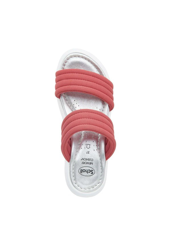 Scholl BOCA 2 BANDS