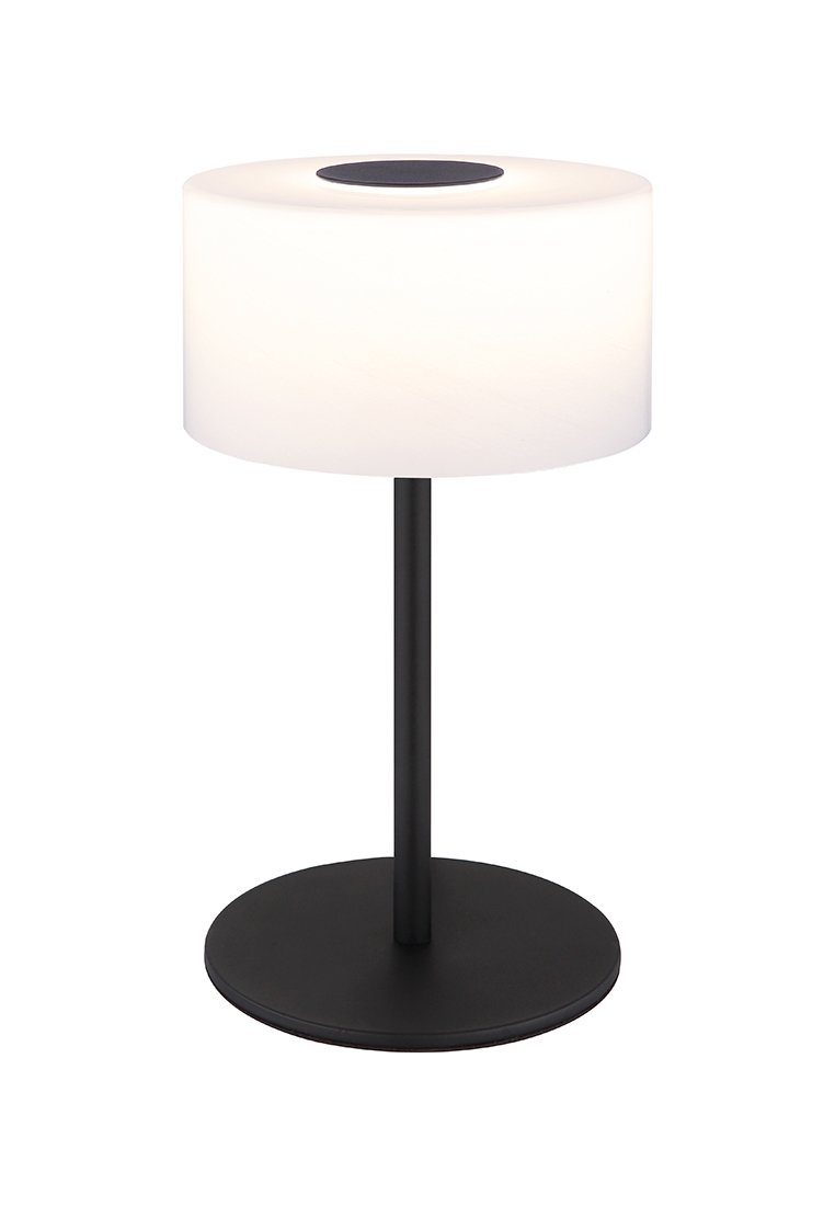 GLOBO Lighting