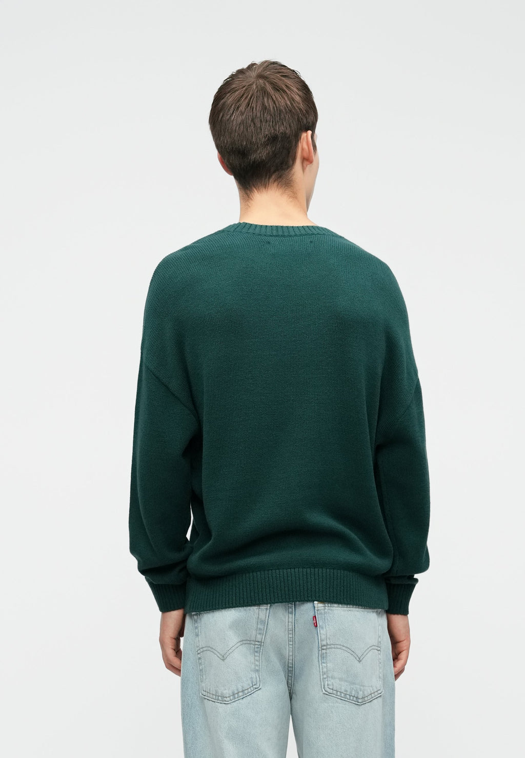 Hollister Co. INTARSIA CREW