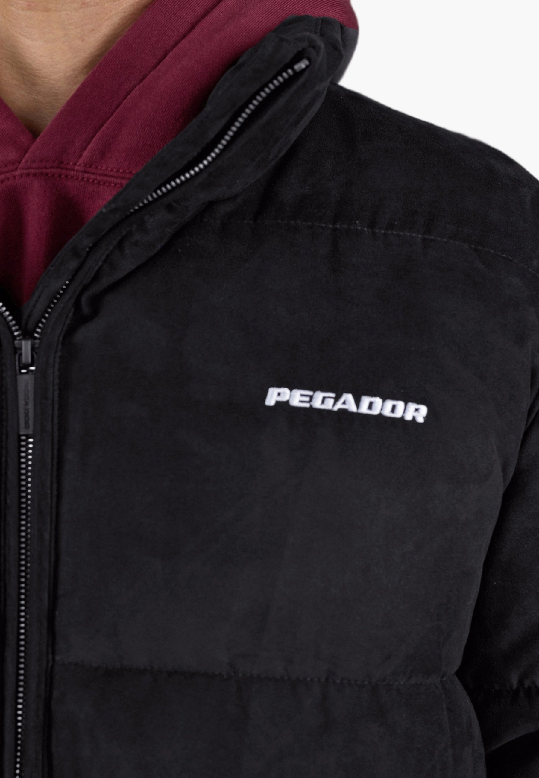 Pegador SIDAN