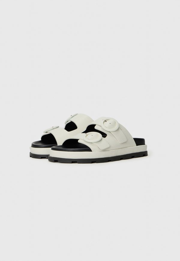Pollini