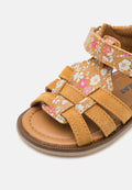 Wheat BRAY