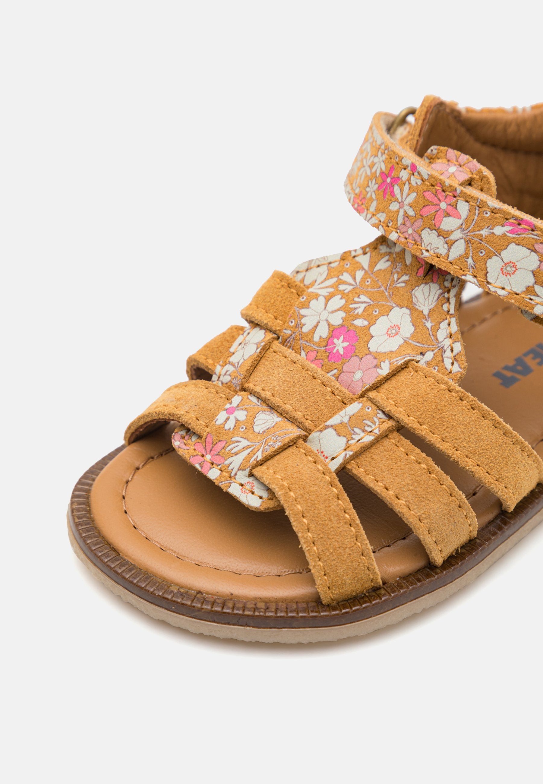 Wheat BRAY
