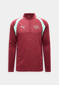 Puma SWITZERLAND SFV TRAINING 1/4 ZIP TOP - National team wear - team regal red/green glimmer