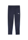 Puma FUSSBALL TEAMGOAL TRAINING