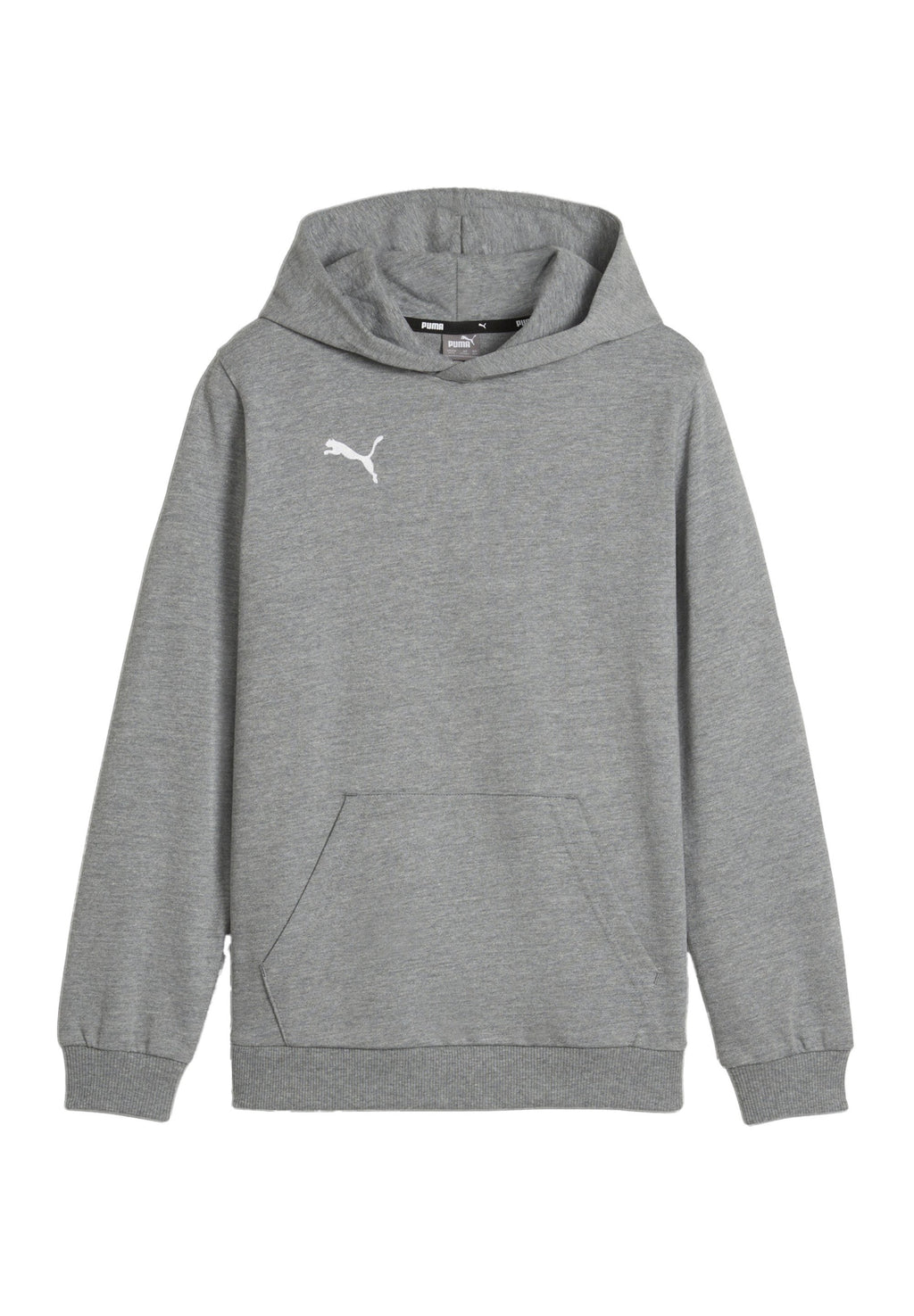 Puma TEAMGOAL