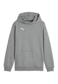 Puma TEAMGOAL
