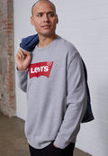Levi's® Plus BIG GRAPHIC CREW