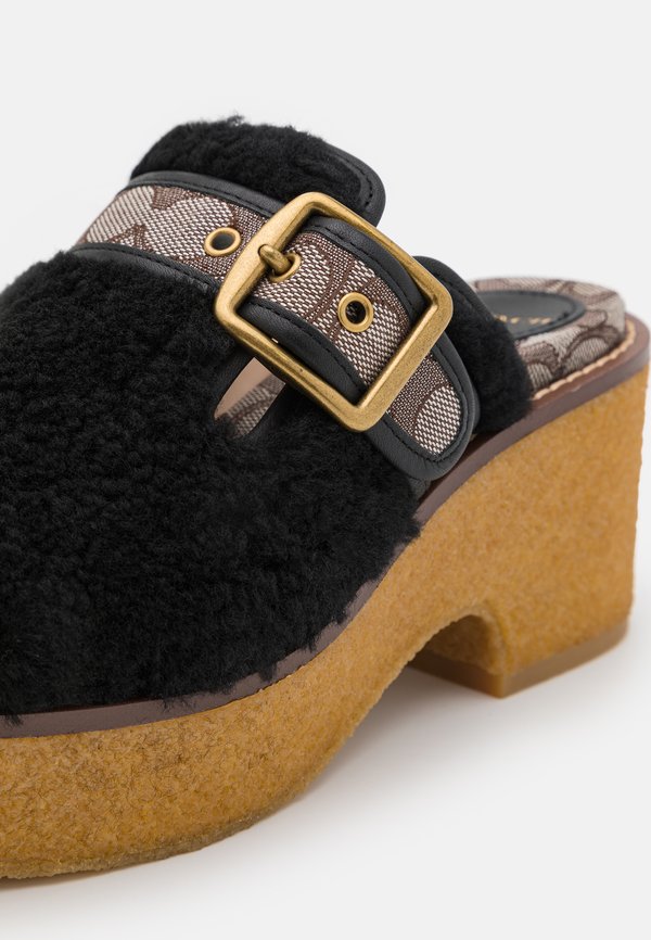 COACH DYLAN SHEARLING