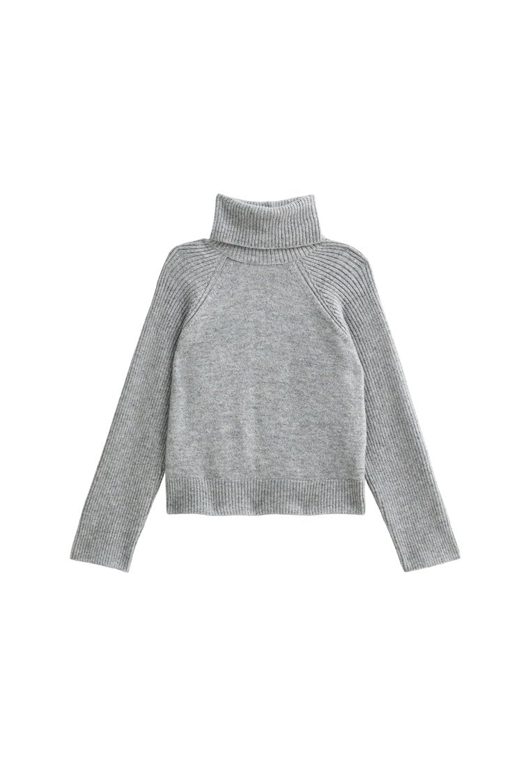 Grauer gerippter Rollkragenpullover mit langen Ärmeln und passgenauem Saum. Hergestellt aus einem weichen Strickmaterial, bietet einen lässigen Schnitt und strukturierte Details.