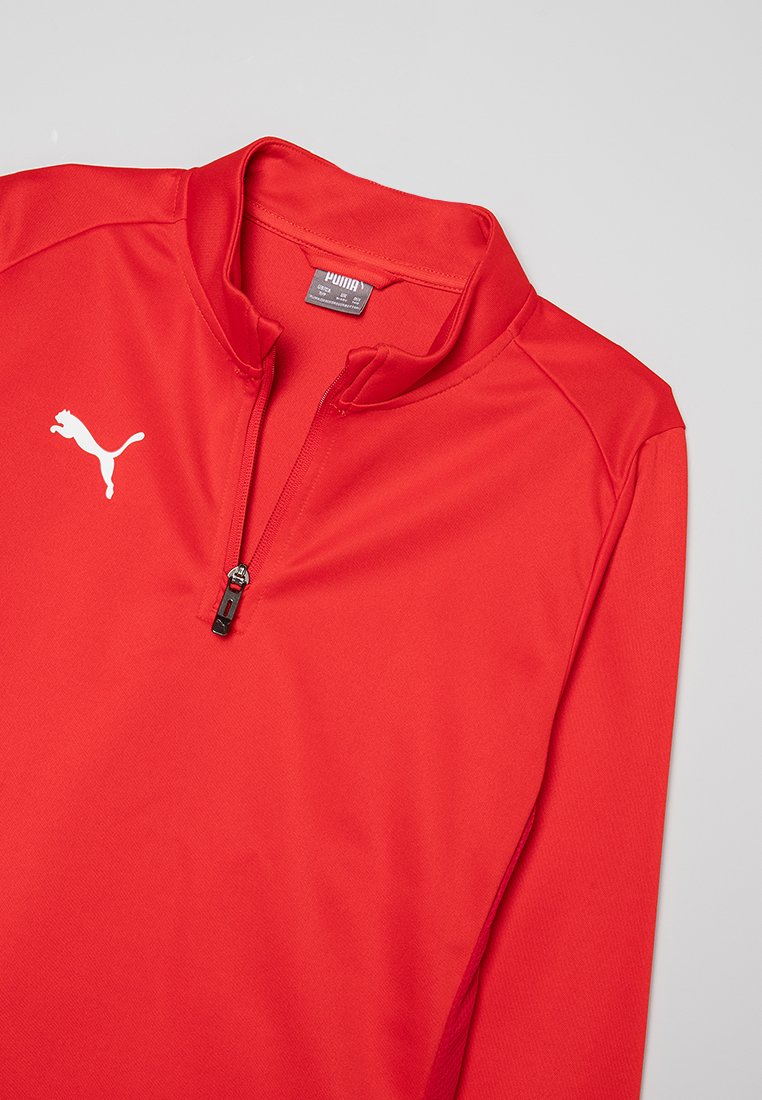 Puma TEAMGOAL