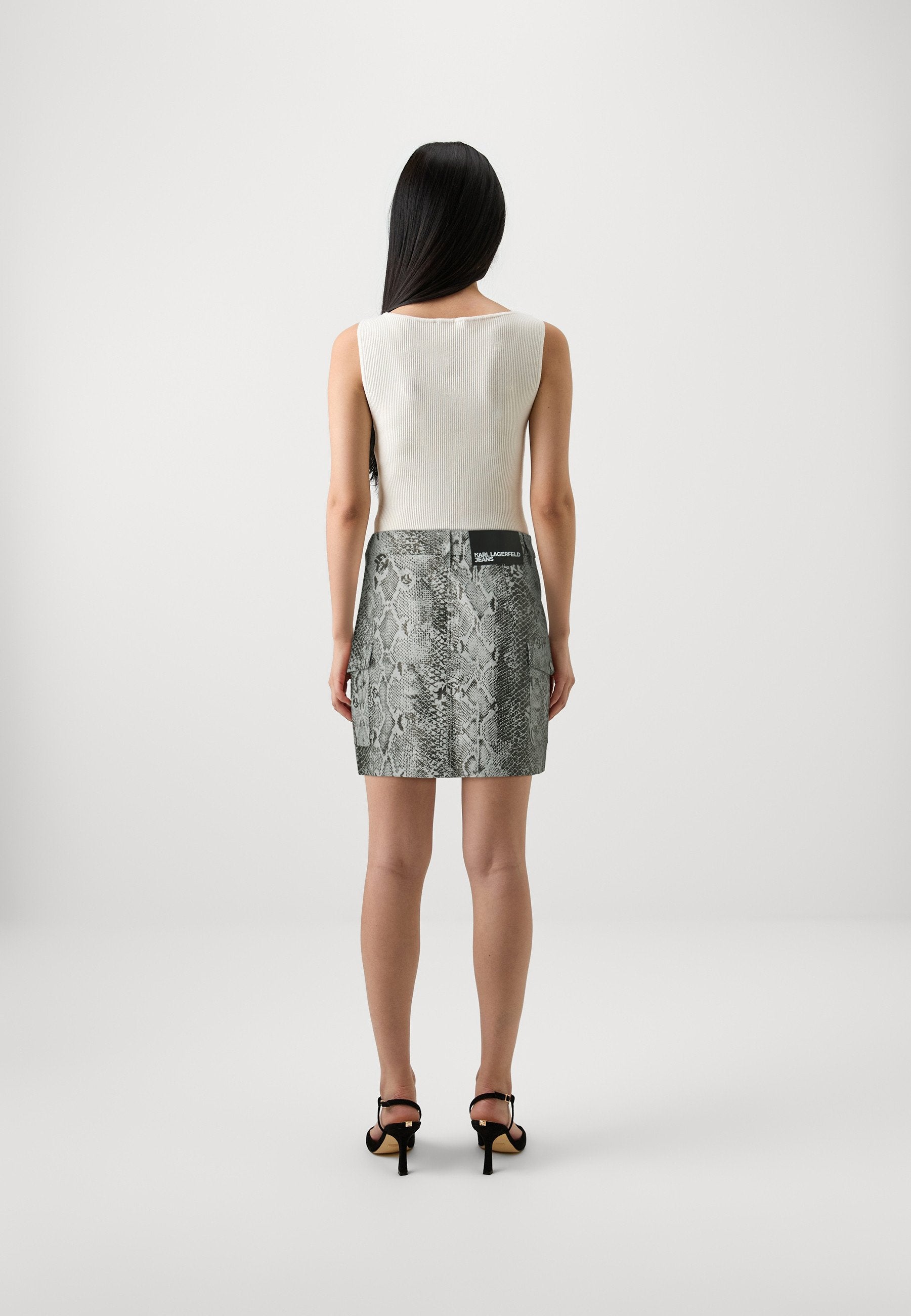 SKIRT Media 4