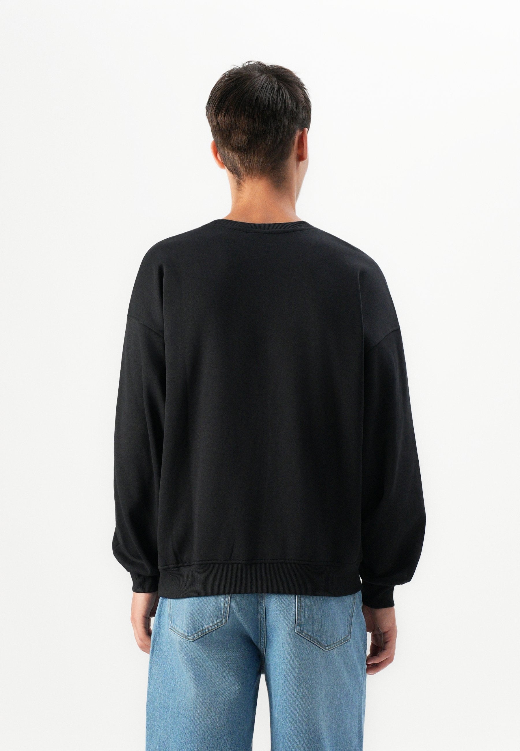 Only & Sons ONSTURNER VARSITY CREW NECK