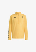 adidas Performance TEAM D HALF ZIP LONGSLEEVE LIGHT  - Long sleeved top - semi spark