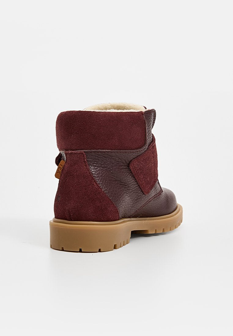 Wheat SIGGE TEX