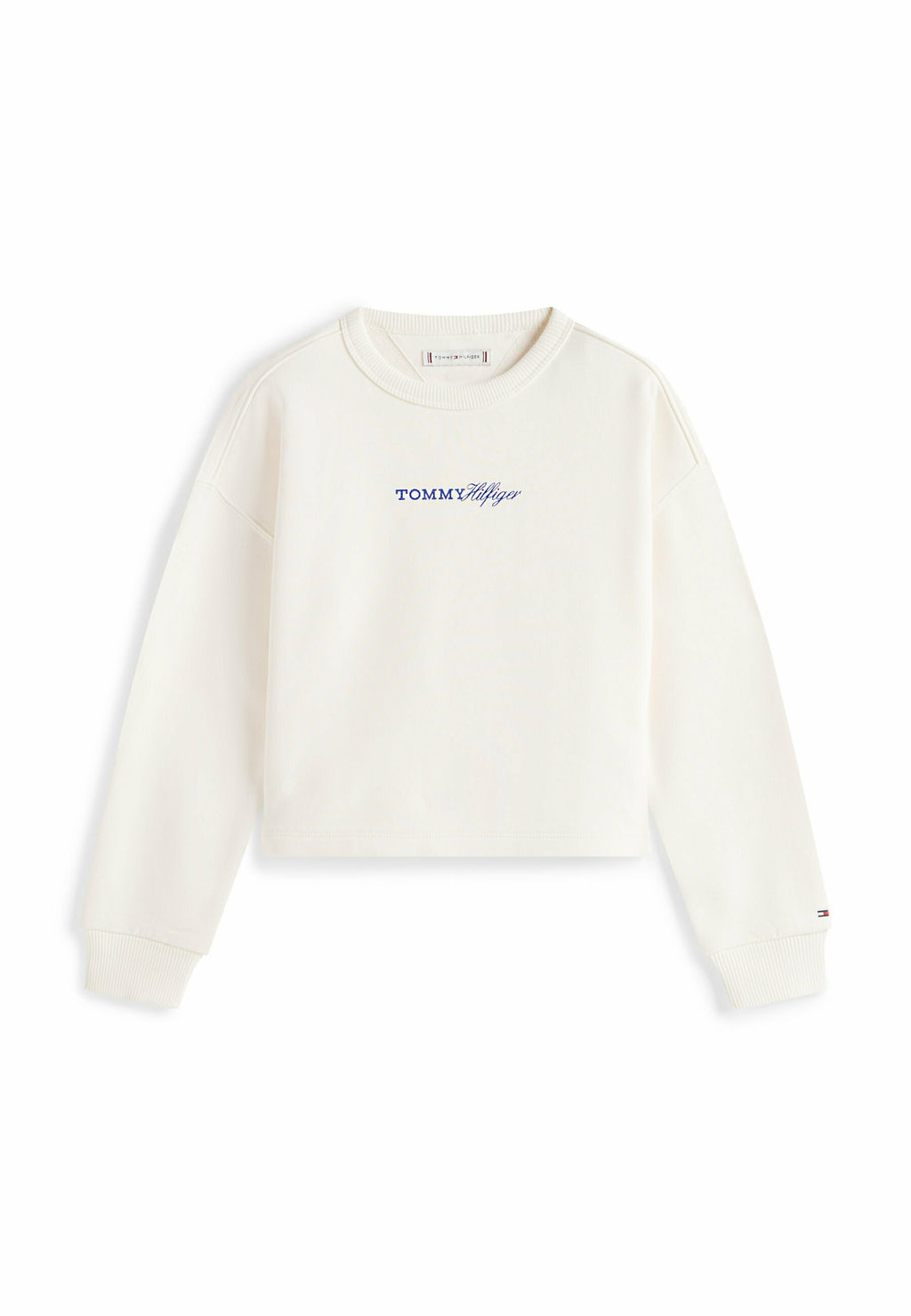GLITTER LOGO RELAXED TERRY SWEATSHIRT Media 1