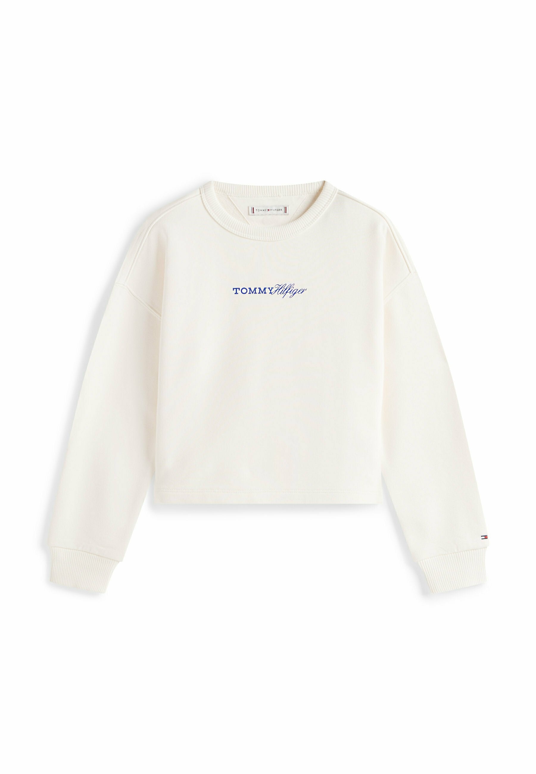 GLITTER LOGO RELAXED TERRY SWEATSHIRT Media 1