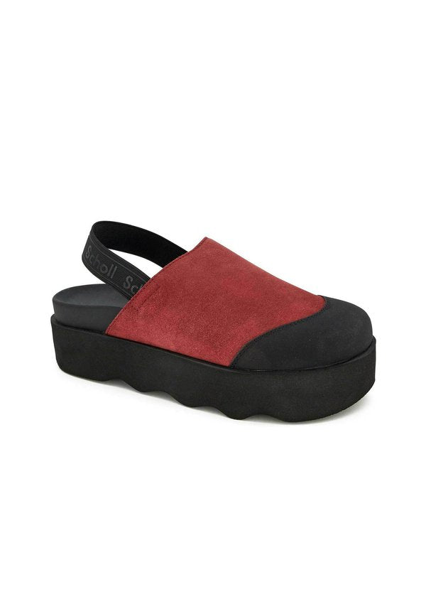 Scholl ABBY