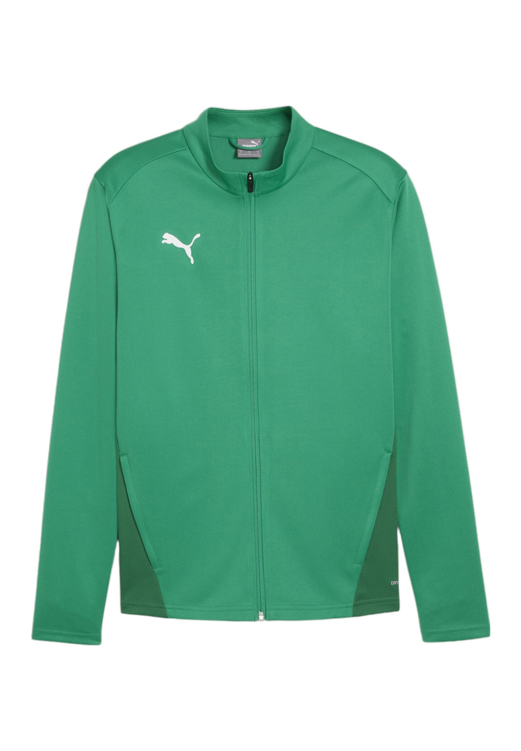 Puma TEAMGOAL