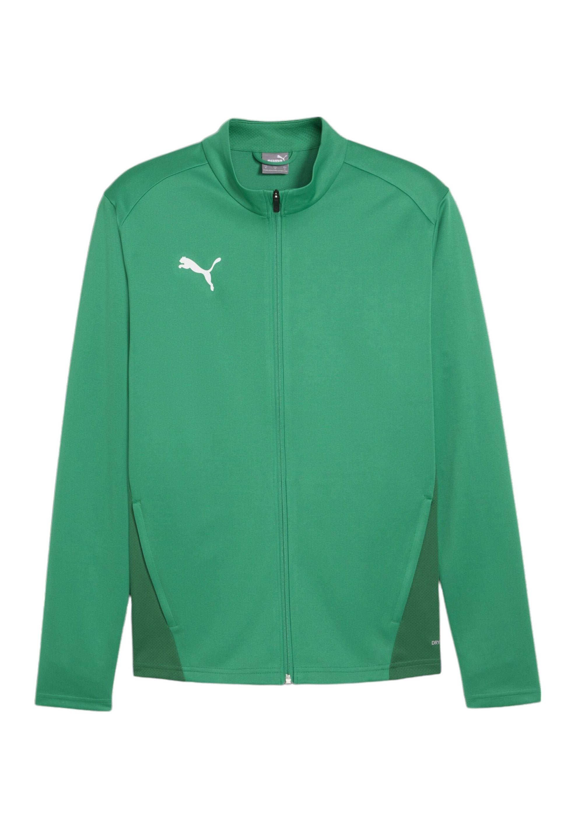 Puma TEAMGOAL