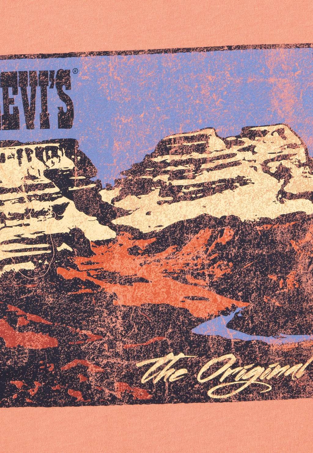 Levi's® CANYON LANDSCAPE TEE