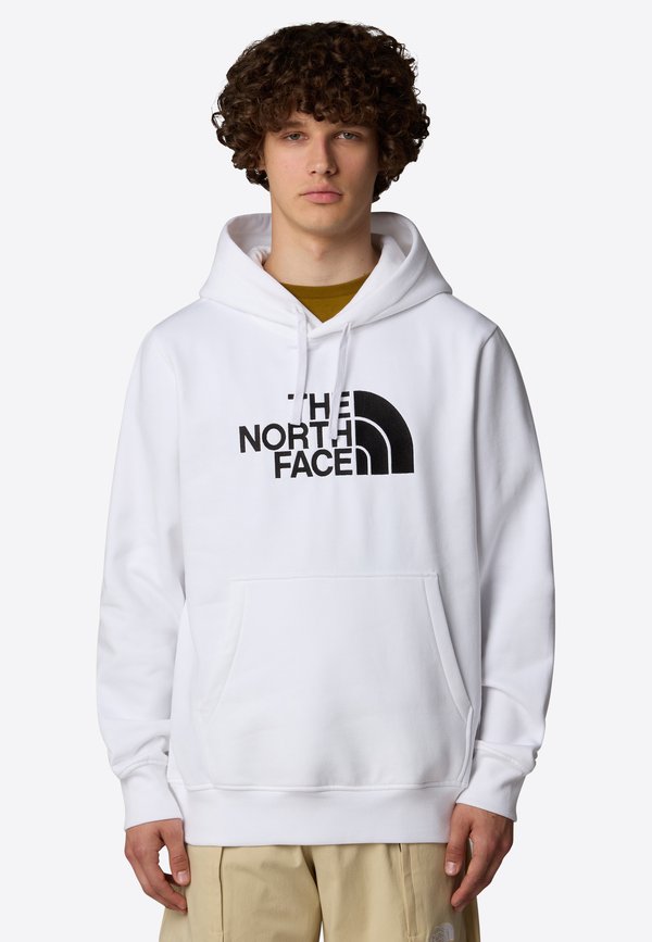 The North Face DREW PEAK REGULAR HOODIE