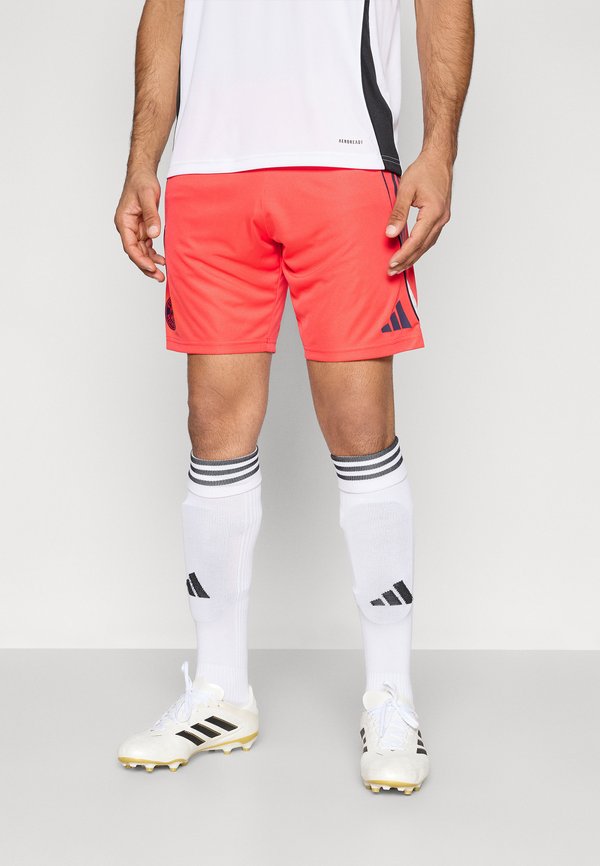 adidas Performance FC BAYERN TRAINING SHORTS