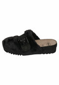 Scholl ALASKA