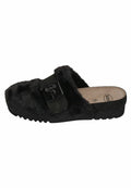 Scholl ALASKA