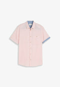 TOM TAILOR Shirt - pink horizontal structure