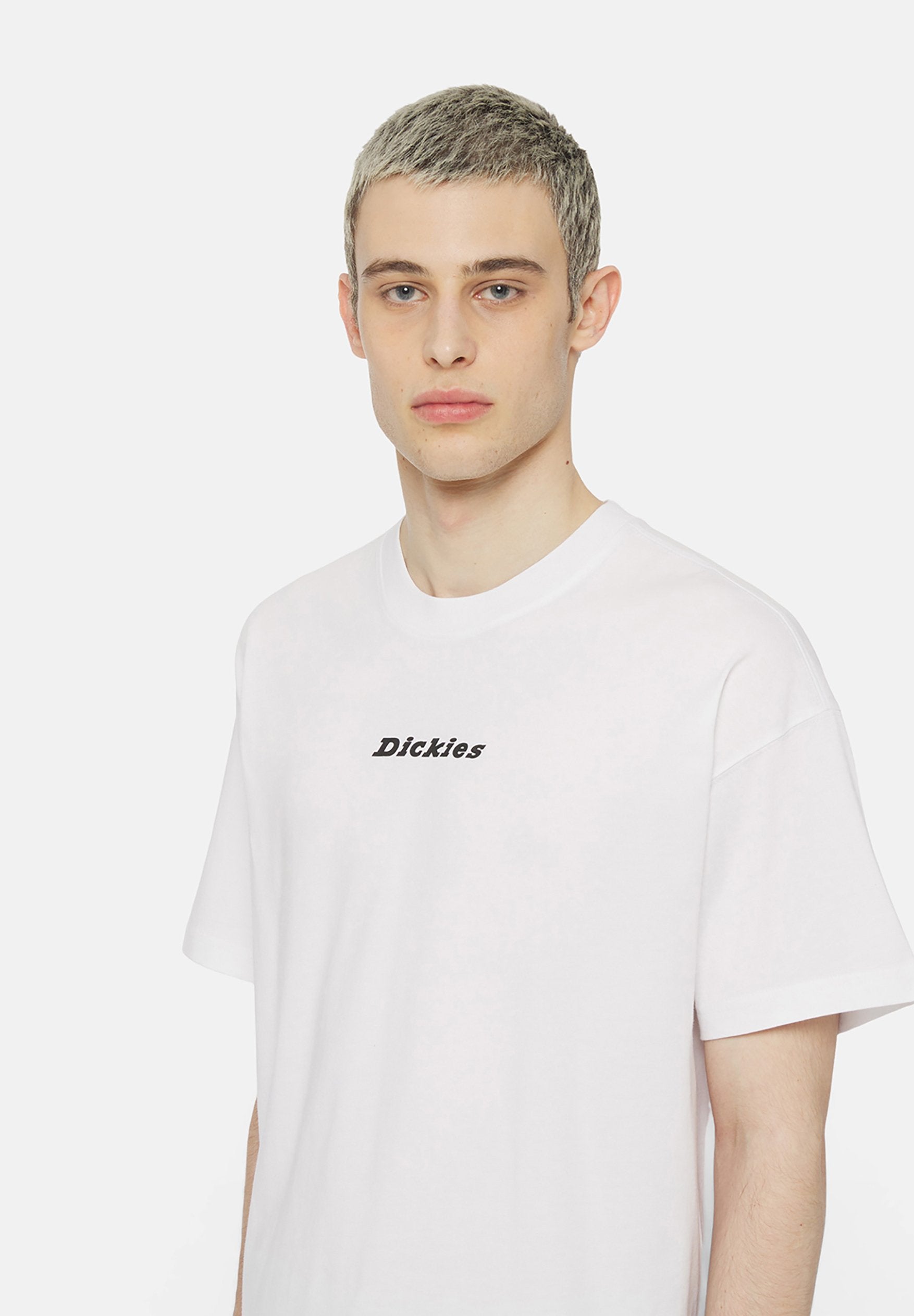 Dickies ENTERPRISE TEE