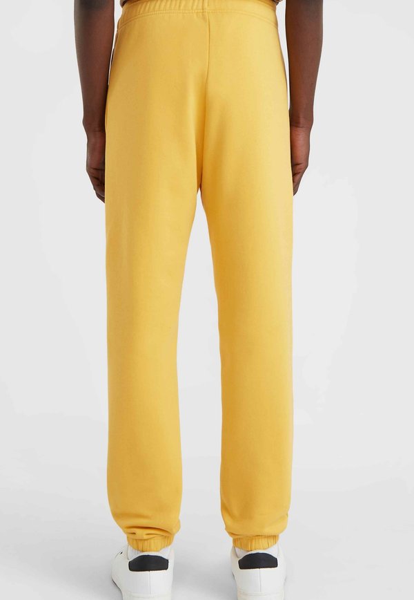 O'Neill FUTURE SURF SOCIETY JOGGER